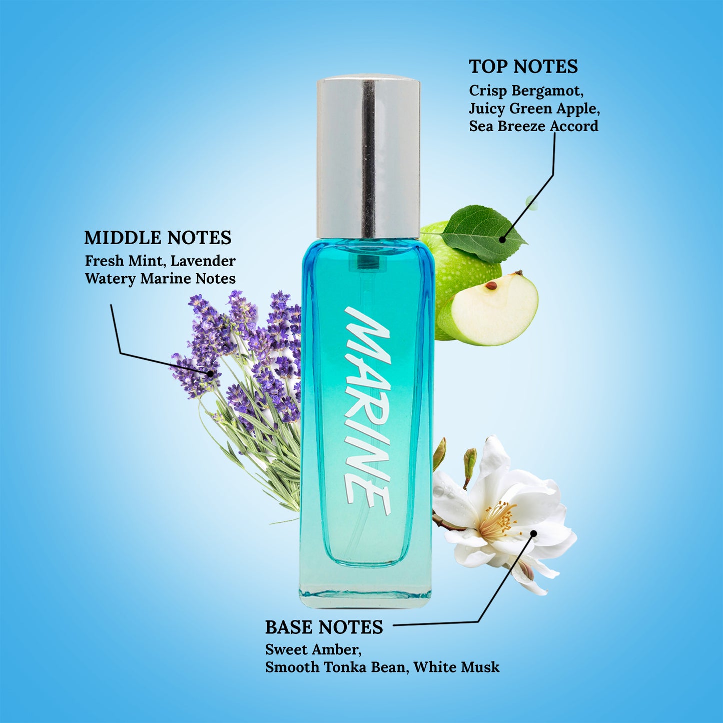 Marine 20ml Perfume Unisex by auromatic