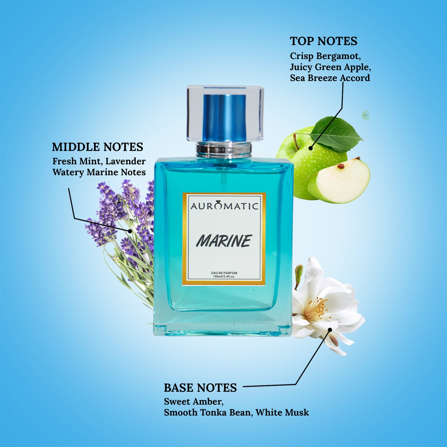 Marine 100ml Perfume Unisex by auromatic