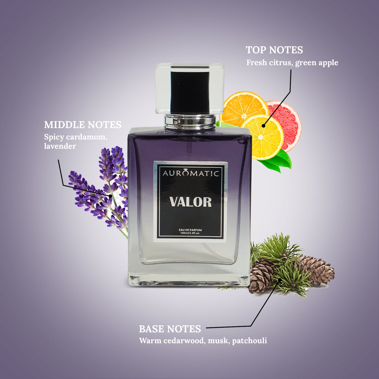 Valor 100ml Perfume for Man by auromatic